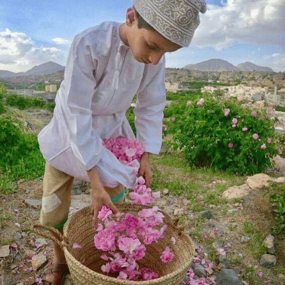 Picture 3 for Activity Muscat: Nizwa and Jabal Akhdar- Full-Day Tour