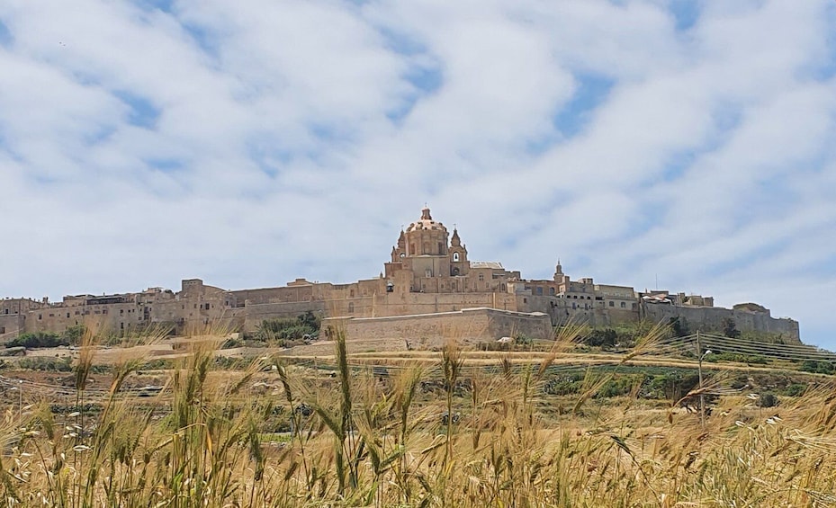 Picture 2 for Activity Malta: Mdina and Rabat Tour with Local Guide