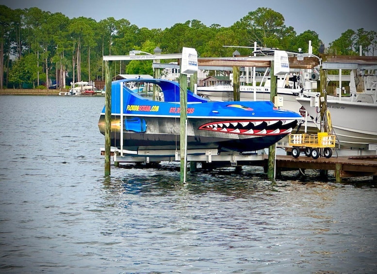 Panama City: Sunset Speedboat Tour with Dolphin Watching