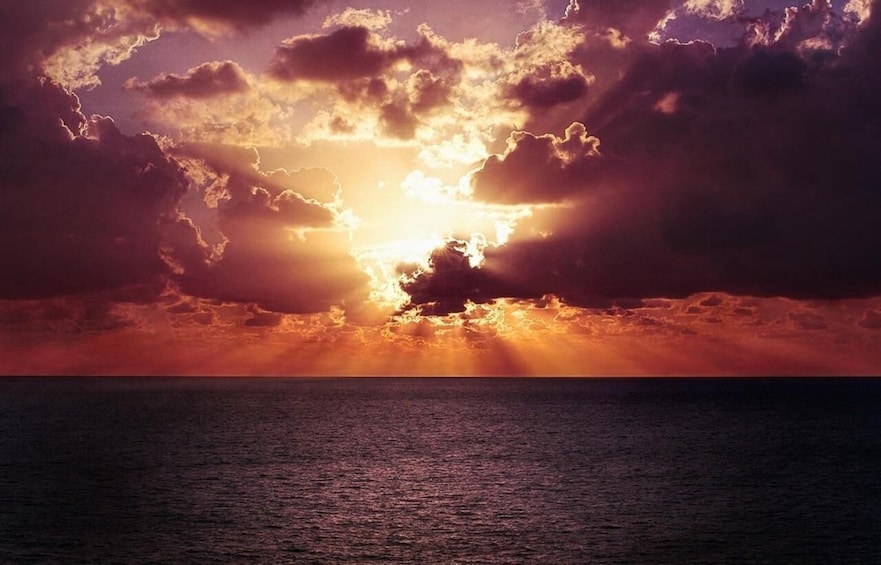 Picture 4 for Activity Panama City: Sunset Speedboat Tour with Dolphin Watching