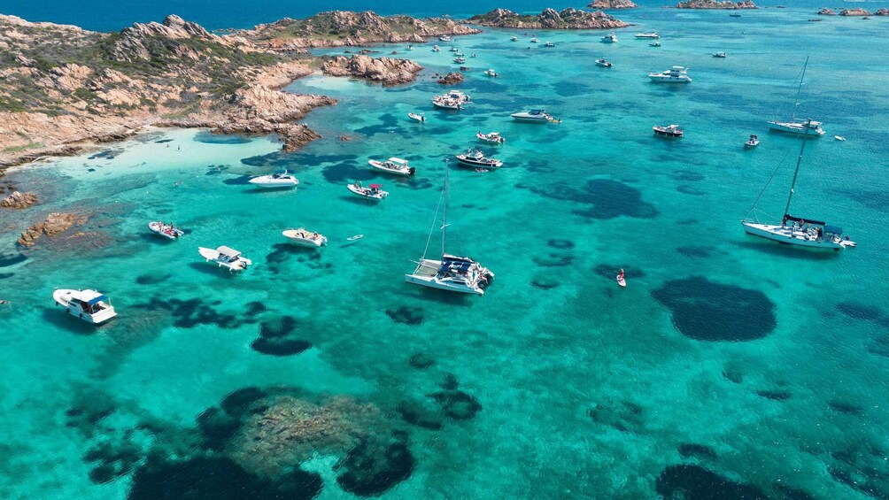 Picture 14 for Activity From Santa Teresa Gallura: La Maddalena Catamaran Tour