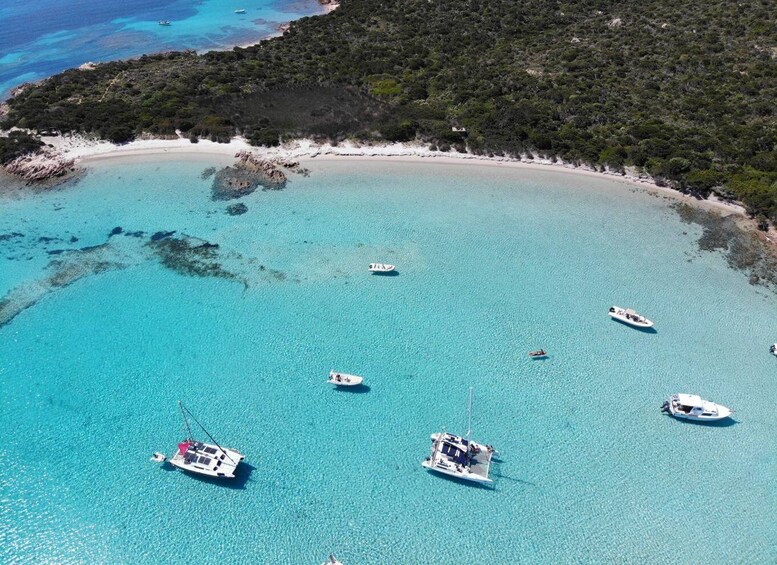 Picture 11 for Activity From Santa Teresa Gallura: La Maddalena Catamaran Tour