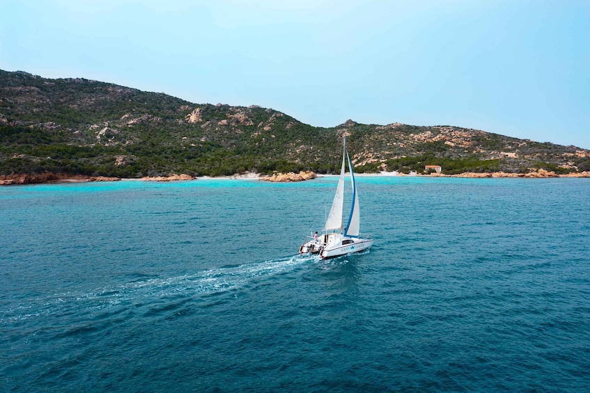 Picture 9 for Activity From Santa Teresa Gallura: La Maddalena Catamaran Tour