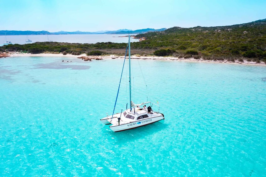 From Santa Teresa Gallura: La Maddalena Catamaran Tour