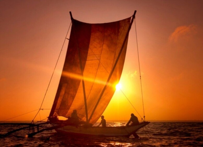 Picture 2 for Activity Catamaran Sunset Sailing in Trincomalee