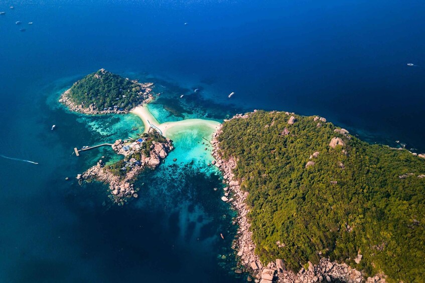 Koh Samui : VIP Koh Tao & Koh Nang Yuan Small-Group Tour