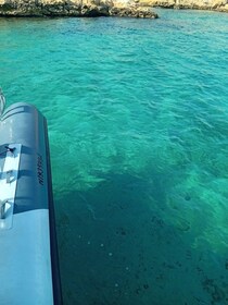 Desde Marsella: Excursión en barco por las islas Frioul con parada para nad...