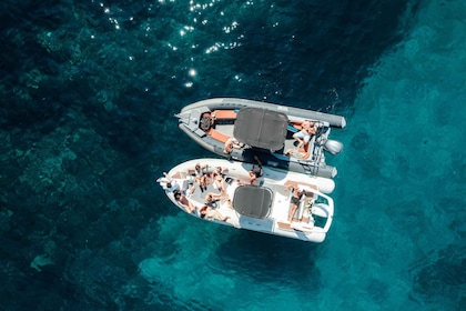 Desde Marsella: tour en barco por las islas Frioul