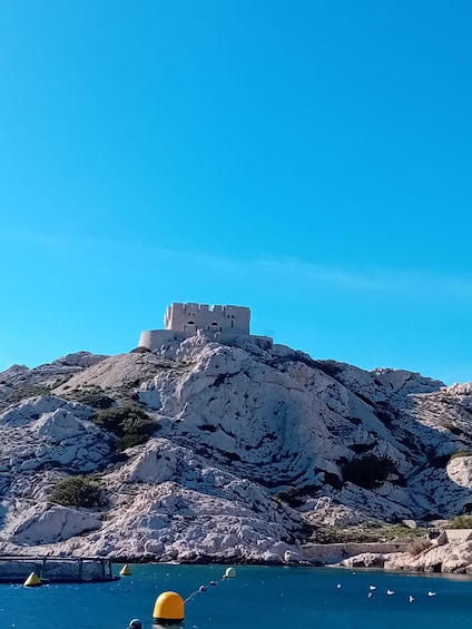 Picture 8 for Activity From Marseille: Frioul Islands Boat Tour with Swim Stop