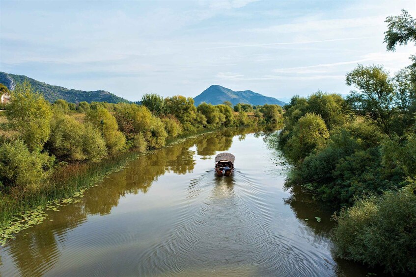 Picture 5 for Activity Virpazar: Lake Skadar Private Wildlife Cruise & Wine Tasting