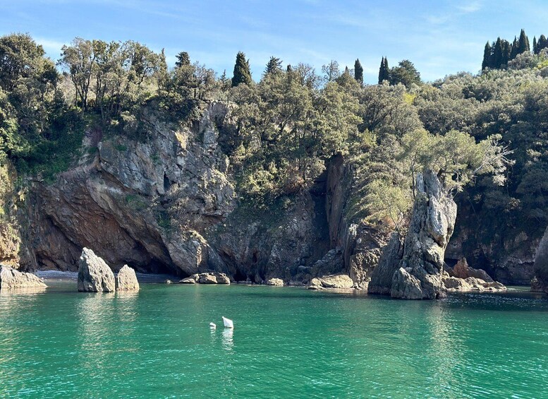 Picture 8 for Activity La Spezia,Lerici,Portovenere and the 3 Islands with aperitif