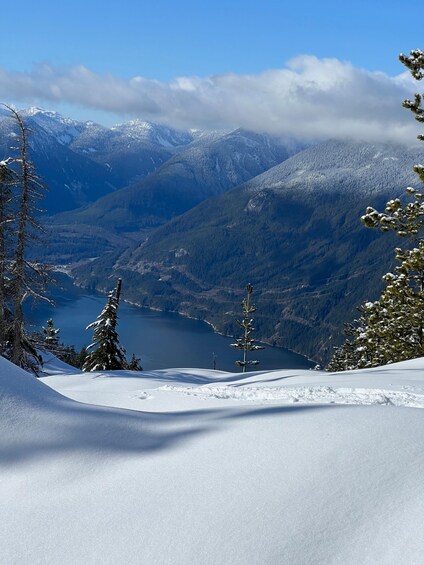 Picture 13 for Activity Snowshoeing At The Top Of The Sea To Sky Gondola