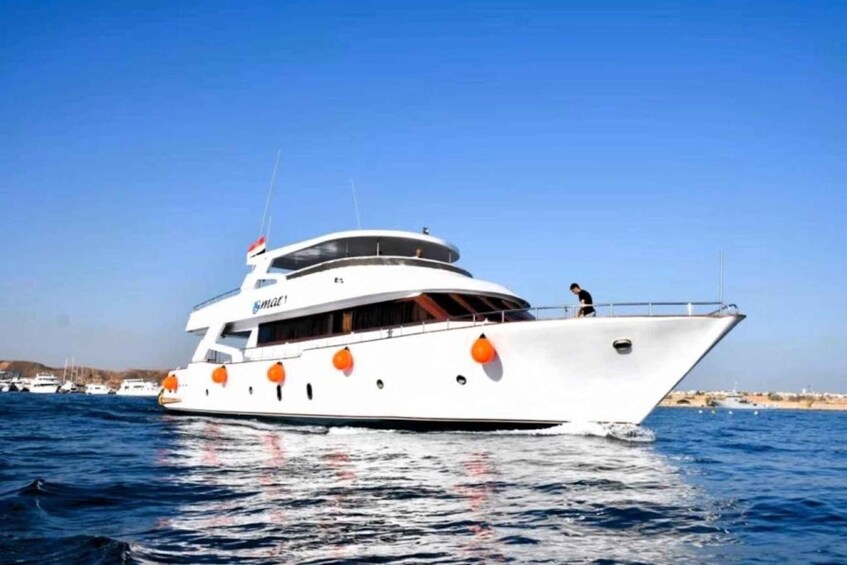 Picture 4 for Activity Sharm El Sheikh: Tiran Island Boat Trip w Private Transfers