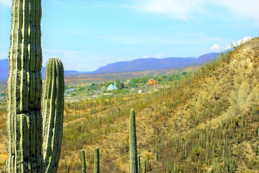 Picture 4 for Activity Oaxaca: Geoparque Exploration Tour