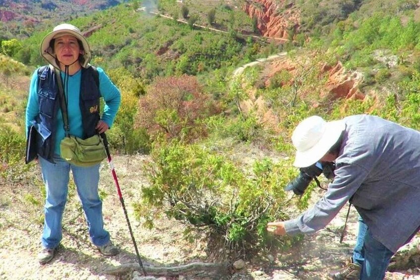 Picture 1 for Activity Oaxaca: Geoparque Exploration Tour