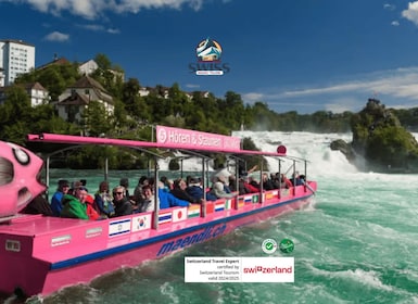 Rhine Falls & Stein am Rhein Private Day Trip