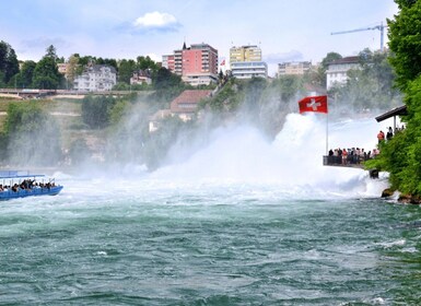 RhineFalls & Stein am Rhein (Tour private)