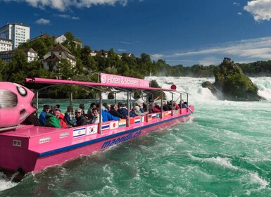 RhineFalls & Stein am Rhein (Tour private)