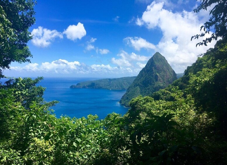 Picture 10 for Activity Saint Lucia: Soufriere Guided Day Tour