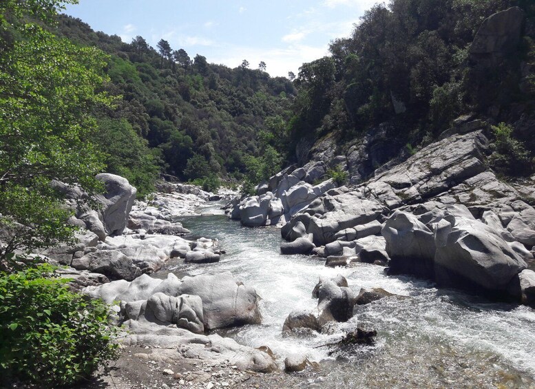 Picture 5 for Activity Day trip from Nîmes to UNESCO mountains of Cevennes