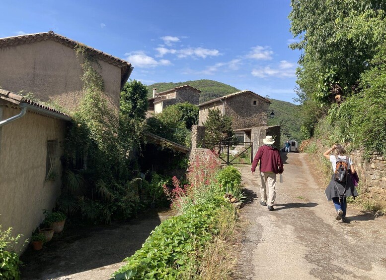 Picture 4 for Activity Day trip from Nîmes to UNESCO mountains of Cevennes