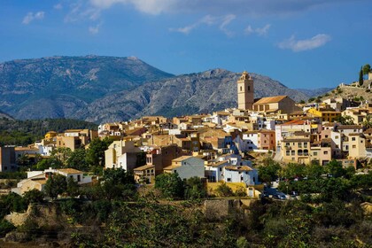 De Benidorm : Visite privée de la Costa Blanca avec dégustation de vins