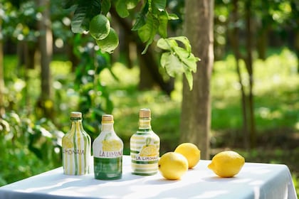 Sorrento Lemon excursion