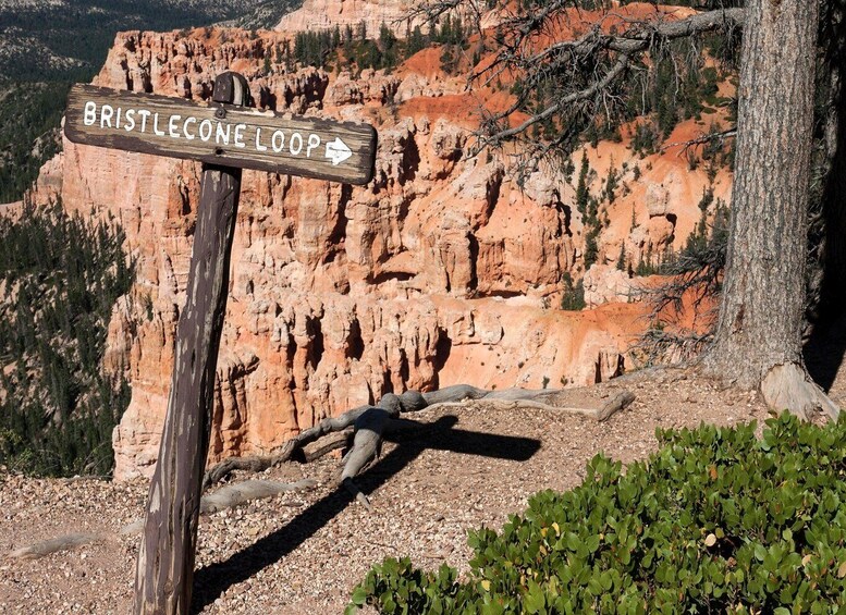 Picture 19 for Activity Bryce Canyon National Park: Full-Day Audio Driving Tour