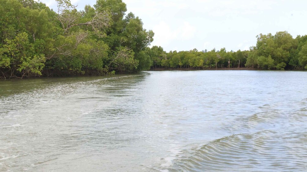 Picture 15 for Activity From Diani Beach: Funzi Island Full Day Excursion with Lunch
