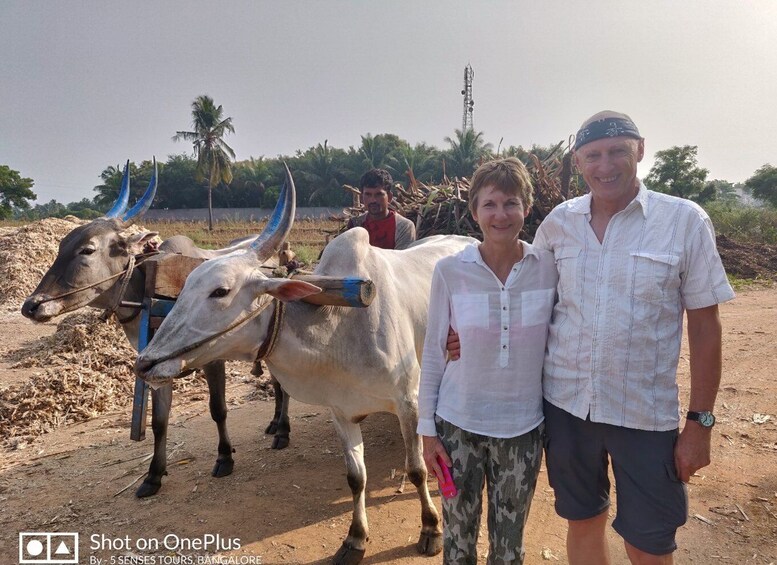Picture 6 for Activity From Bangalore: Day Trip to Somnathpur & Talakadu with Lunch