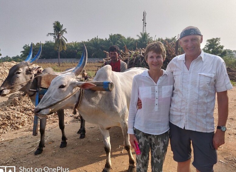 Picture 6 for Activity From Bangalore: Day Trip to Somnathpur & Talakadu with Lunch