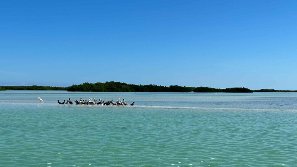 Picture 2 for Activity Cabo Catoche Snorkel And Fishing