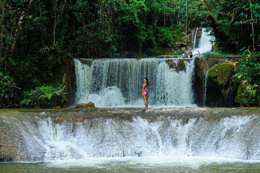 Picture 4 for Activity Ys Falls and Appleton Estate Private Tour