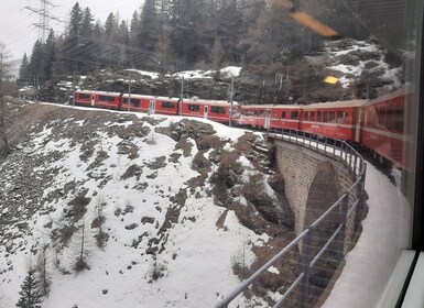 From Milan: Scenic Alps Day Trip with Bernina Train Ride