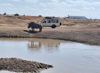 Dagstur til Nairobi nasjonalpark og Carnivore Restaurant Lunch