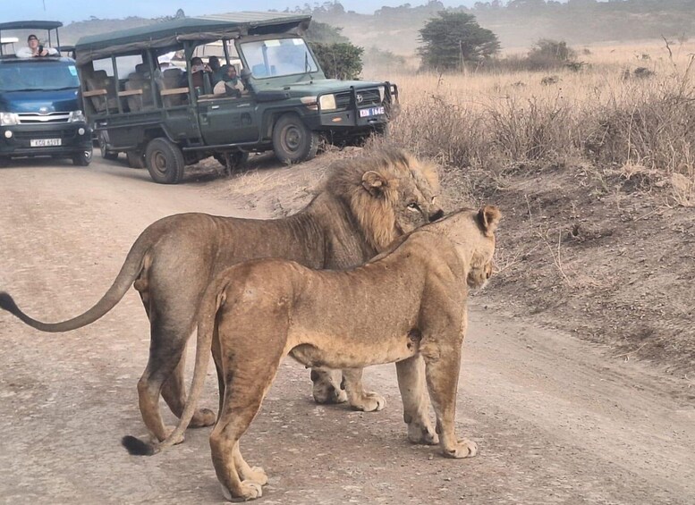 Picture 3 for Activity Nairobi National Park & Carnivore Restaurant Lunch Day Tour