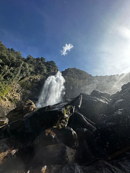 Picture 2 for Activity From Medellin tour to waterfall Salto del Buey (La Ceja)