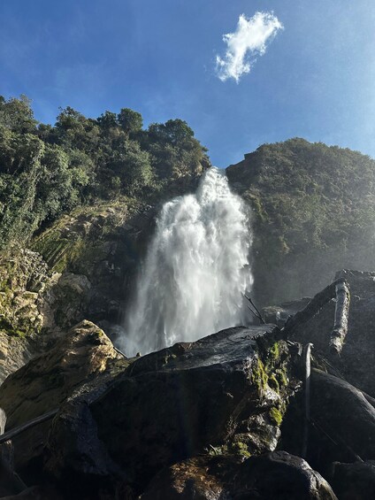 Picture 6 for Activity From Medellin tour to waterfall Salto del Buey (La Ceja)