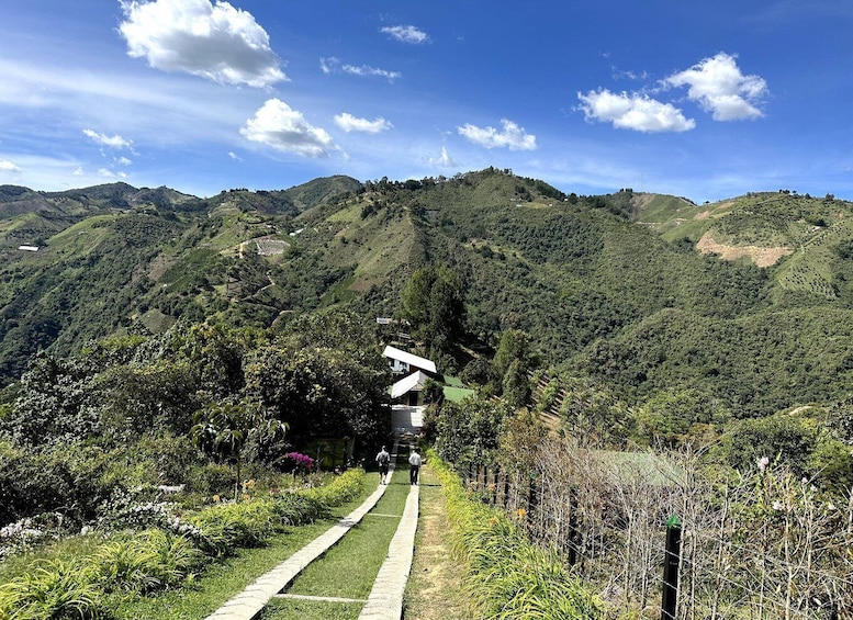 Picture 4 for Activity From Medellin tour to waterfall Salto del Buey (La Ceja)