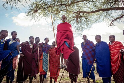 Kulturell opplevelse i maasaibomaen (maasai-landsbytur)