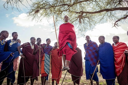 Expérience culturelle Maasai Boma (village maasai excursion)