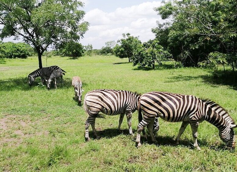 Picture 1 for Activity Full day Accra Shai Hills and Boat Ride Tour