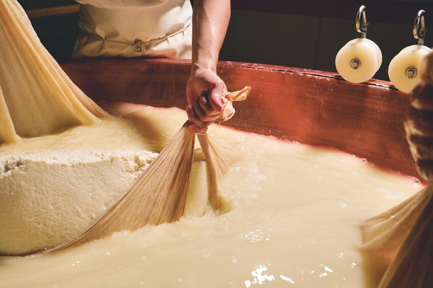 Bologna Culinary Day Trip & Local Delicacies Tastings From Florence