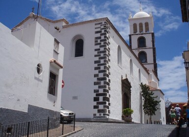 Desde Santa Cruz de Tenerife: viaje privado a Masca y Garachico