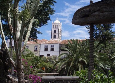 Von Santa Cruz de Tenerife aus: Masca & Garachico Privatausflug