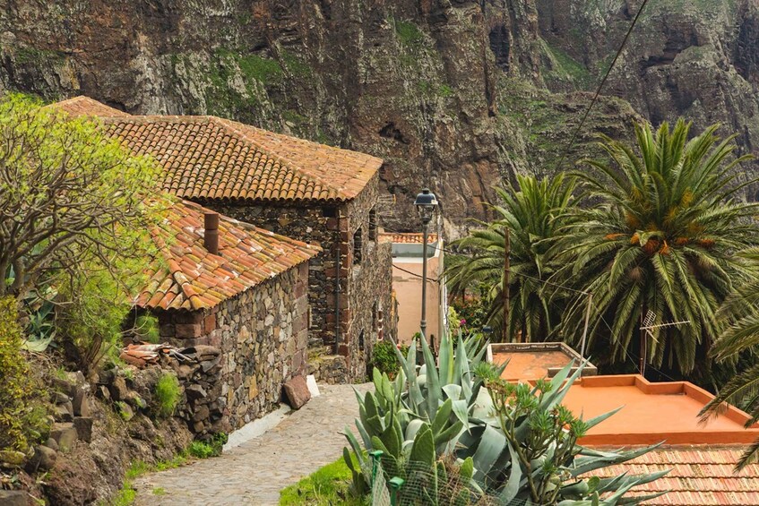 Picture 3 for Activity From Santa Cruz de Tenerife: Masca & Garachico Private Trip