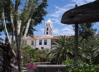 Von Santa Cruz de Tenerife aus: Masca & Garachico Privatausflug