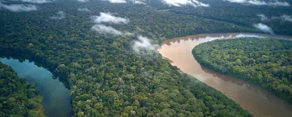 Picture 5 for Activity Iquitos || 2 days in the Amazon, natural wonder of the world