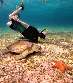 The Cozumel Turtle Sanctuary Snorkel Tour