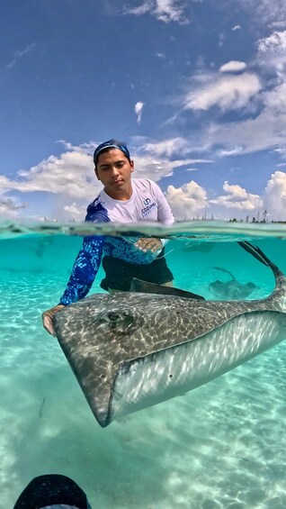 Picture 3 for Activity The Cozumel Turtle Sanctuary Snorkel Tour